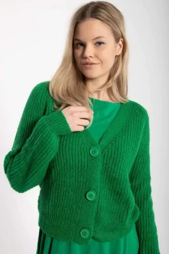 Danadorable Wool Cardigan Green