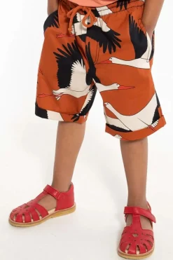 Danalfred Poplin Shorts Rust Big Stork