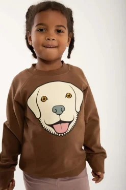 Dyrbellow Sweat Brown Beige Retriever