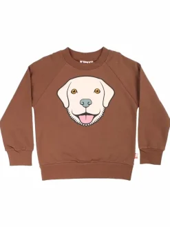 Dyrbellow Sweat Brown Beige Retriever
