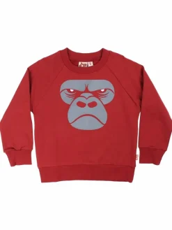 Dyrbellow Sweat Dark Red Zoomgorilla