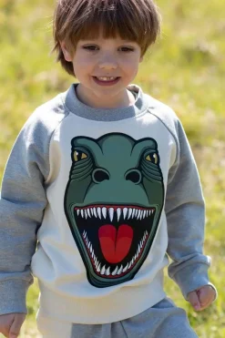 Dyrbellow Sweat Putty/Hthr Grey T-Rex